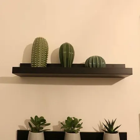 Sime Napule Speranzella * Nápoles